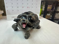 Baby Galápagos Galapagos Giant Land Tortoise Resin Replica Model Figurine 12cm (open mouth)