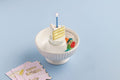 Birthday Cake Light Up Sitter