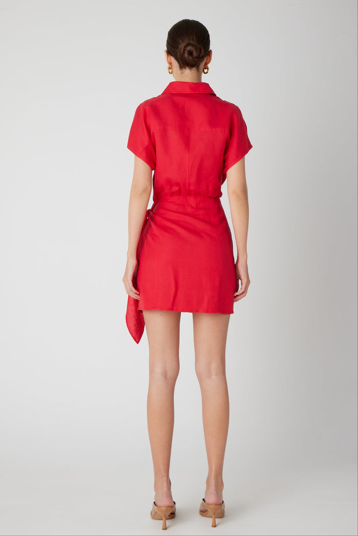 CARSON DRESS