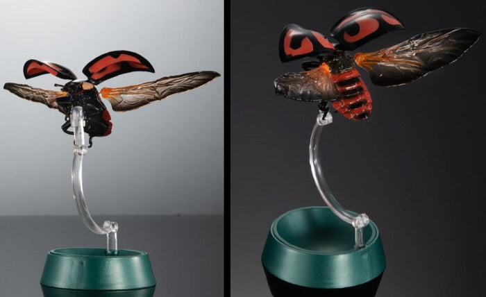 Coccinellid Beetle Lady Beetle Aiolocaria hexaspilota insect PVC Action Figure model with joints