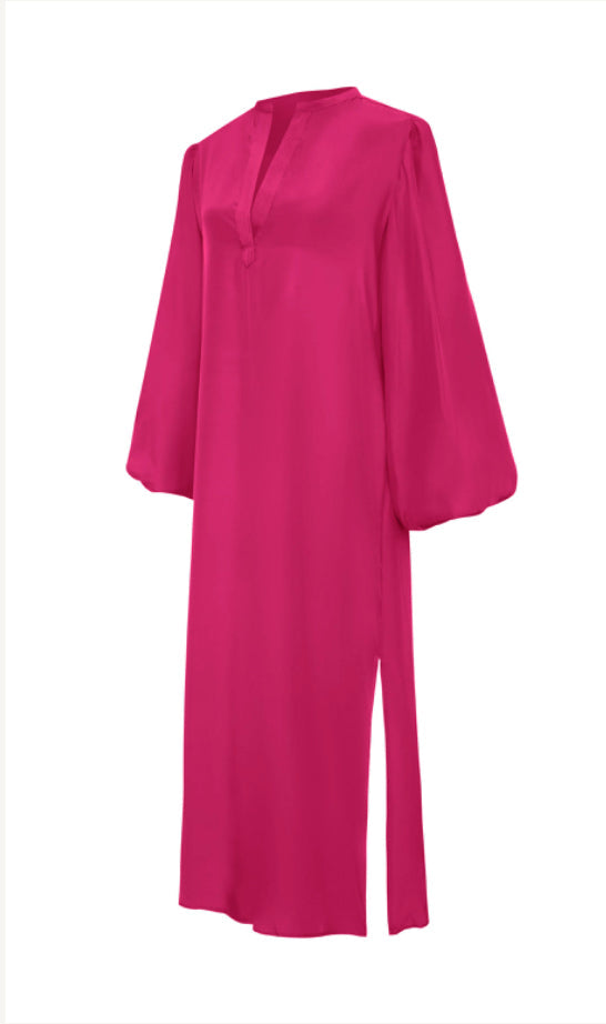 Isabela Sleeve Long Dress Pink Pink