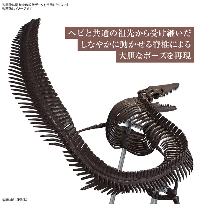 Japan 1/32 Imaginary Skeleton Dinosaur  Mosasaurus Model Kit