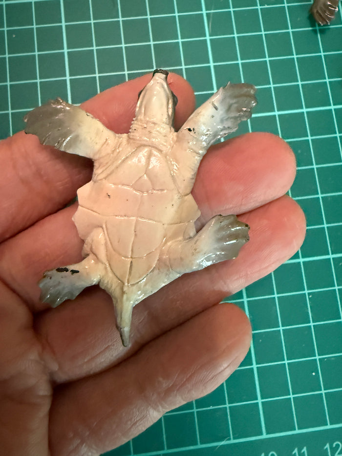 Japan Hikari exclusive Pig-nosed turtle Fly River turtle PVC mini Model Figurine Figure (parts)