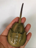 Japan Horseshoe crab animal PVC Action Figure Model with Joints