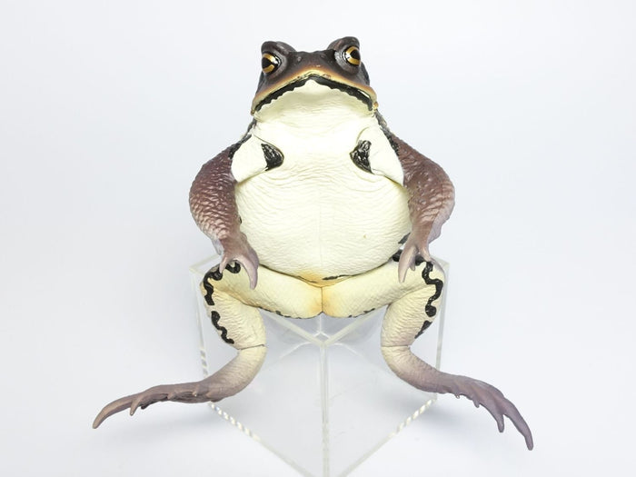 Japan Japanese common toad Frog Toad PVC Figure Model Figurine 12cm (DARK）