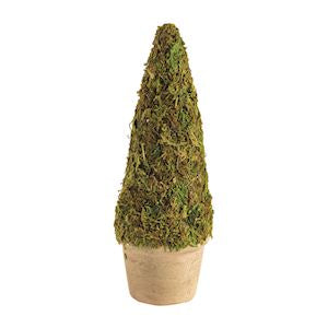 Mini Moss Covered Topiaries