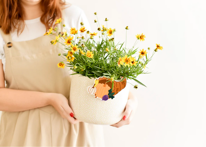 Neutral Small Dot Mini Happy Everything Bowl