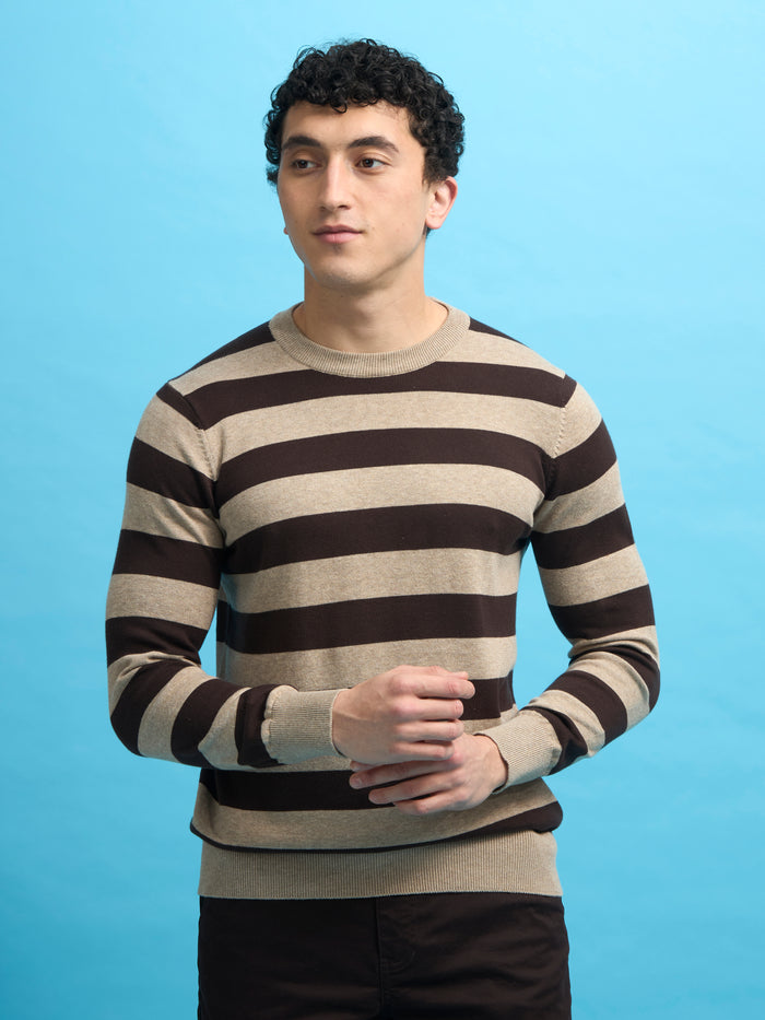 mens fullsleeve stripped sweater tee in dark brown