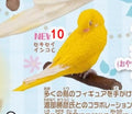 Retired Japan SHINEG Sleeping Love Bird Parrot Bird PVC mini figure figurine Model D