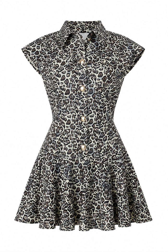 ZANDER DRESS